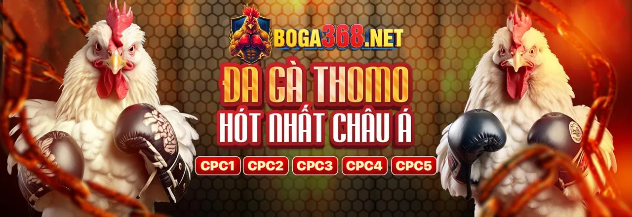 Nền tảng cá cược trực tuyến mu9 win